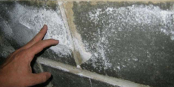 Removing efflorescence from bricks