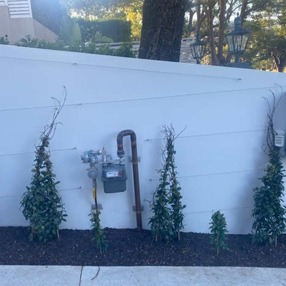 Easton Painting Co - Painting company in Sydney