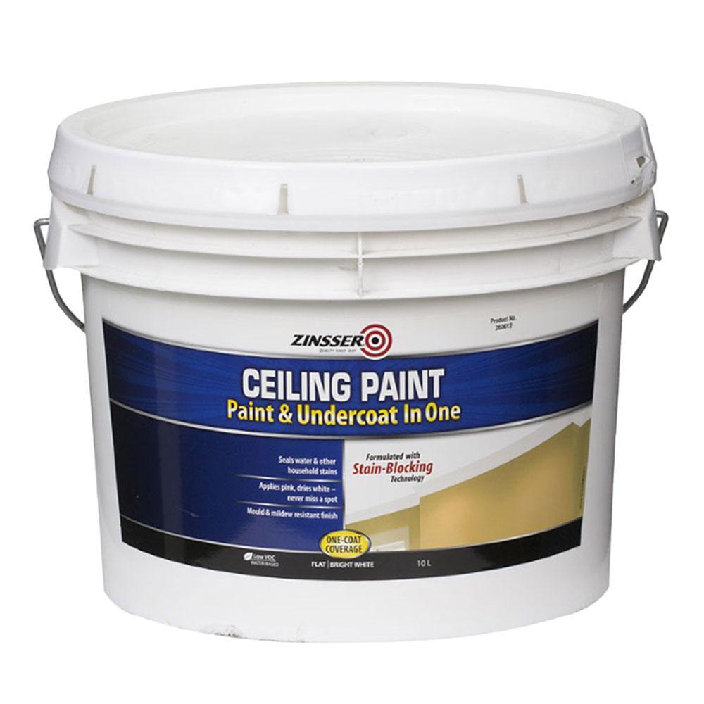 Zinsser Ceiling Paint Mould & Mildew Resistant Finish